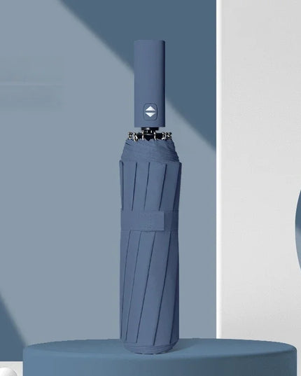 12 Bone Morandi Fully Automatic Umbrella Black Glue Sunscreen Sun Umbrella Plus Sun Umbrella Wholesale