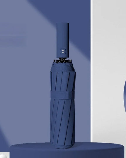 12 Bone Morandi Fully Automatic Umbrella Black Glue Sunscreen Sun Umbrella Plus Sun Umbrella Wholesale